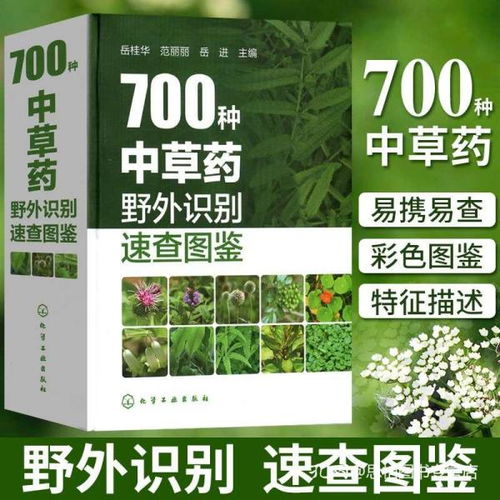 700種中草藥野外識別速查圖鑒 中草藥大全 藥劑學(xué) 中醫(yī)草藥書籍 識別圖全集 野生及栽培藥用植物大全書籍 醫(yī)學(xué)精