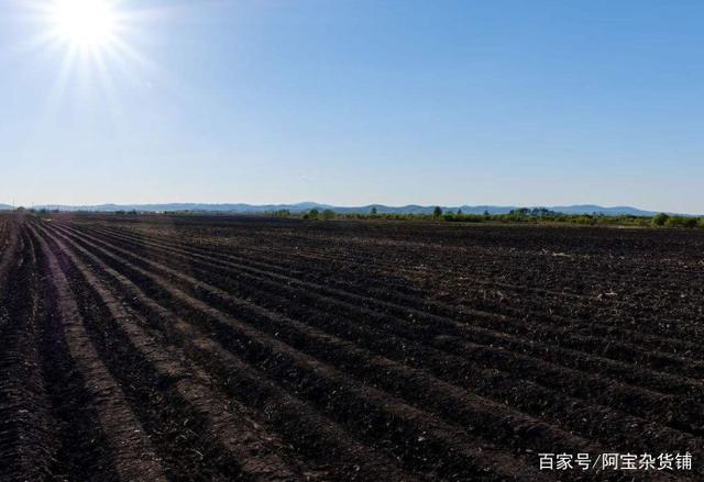 東北農產品熱銷的秘籍?黑土的力量